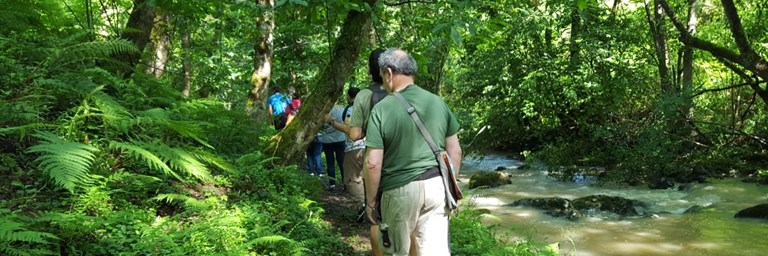 Imagen Banos De Bosque