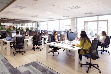 Nuevo espacio de trabajo de Angelini Pharma